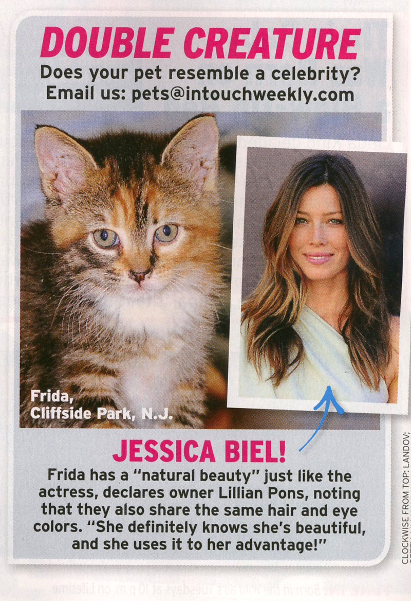 Illustration for article titled This Week in Tabloids: Scott Disick Wants Kendall to Be His Teen Bride